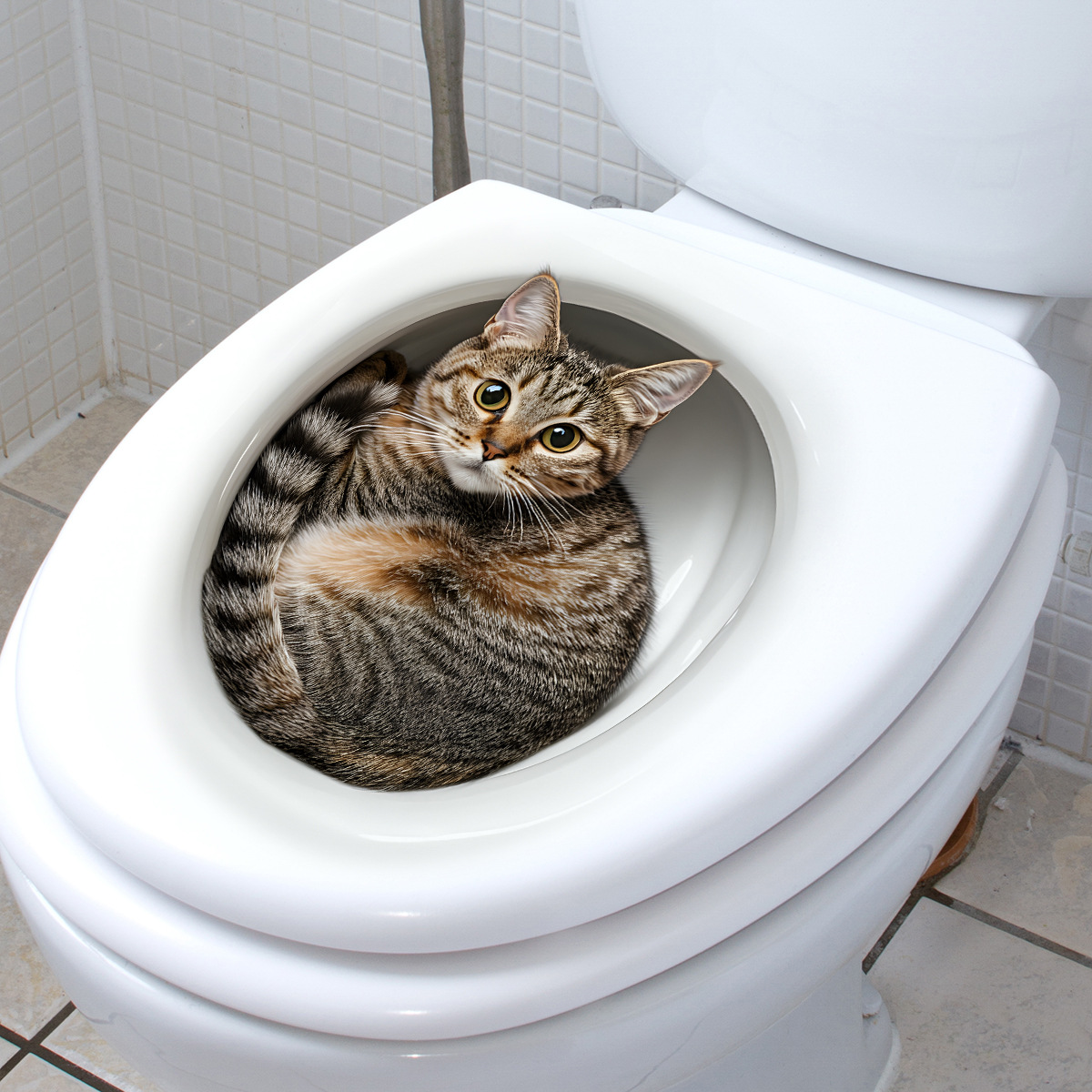 Adesivo per WC gatto divertent - Home Center Bathroom Accessories recensione e prezzo